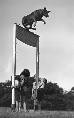 High jump 2
