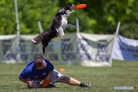 Frisbee 3