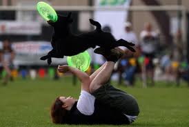 Frisbee 1